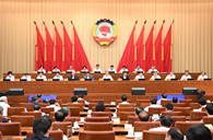 Wang Yang stresses improving national governance