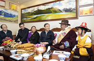 Wang Yang stresses importance of implementing guiding principles on Tibet