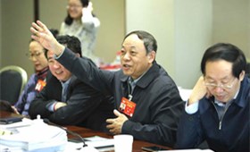 CPPCC National Committee members join panel discussions