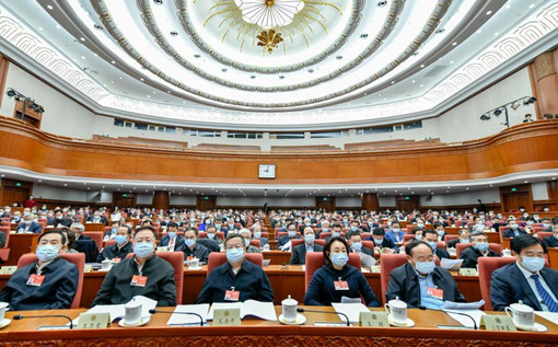 CPPCC members attend video conference