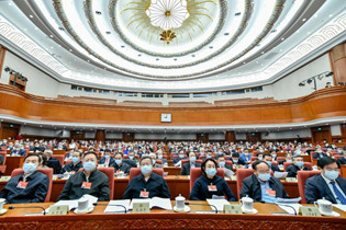 CPPCC members attend video conference
