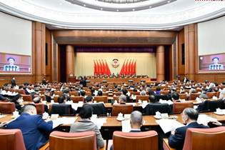 CPPCC members deliver speeches at video conference of fourth session of 13th CPPCC National Committee