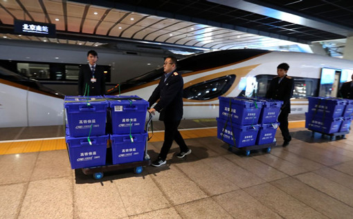 CPPCC member urges use of high-speed trains for deliveries