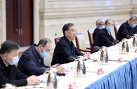 Wang Yang commends achievements of democratic supervision on poverty alleviation