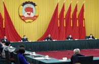 Wang Yang urges better handling of proposals