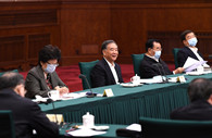 CPPCC members discuss boosting employment in ethnic minority regions