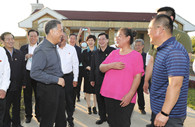 Wang Yang stresses importance of border area development, prosperity