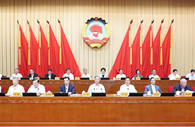 CPPCC members discuss implementing five-year plan