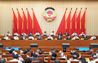 Wang Yang urges enhanced consultation on implementing five-year plan