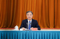 Wang Yang stresses united front's role in China's development