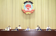 Wang Yang stresses studying Xi's CPC centenary speech