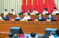 Wang Yang calls for more efforts in building peaceful China