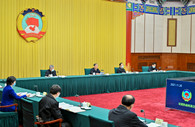 CPPCC members discuss TCM development, protection