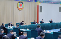 Wang Yang urges implementation of spirit of key economic meeting