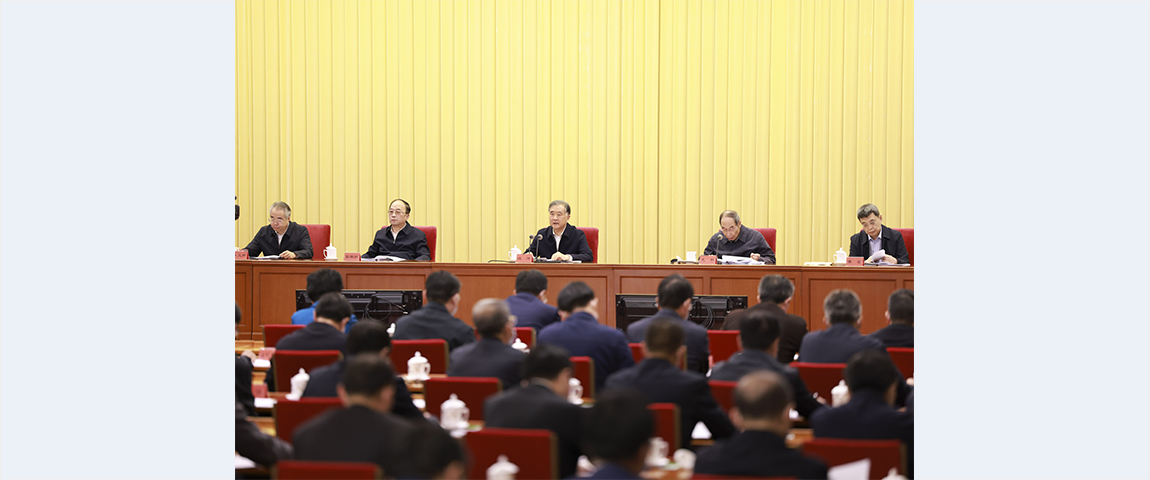 Wang Yang stresses unity in realizing Chinese Dream