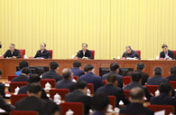 Wang Yang stresses unity in realizing Chinese Dream