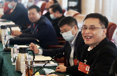CPPCC National Committee members hold group meetings
