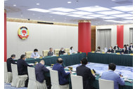 CPPCC members pool wisdom on rural healthcare