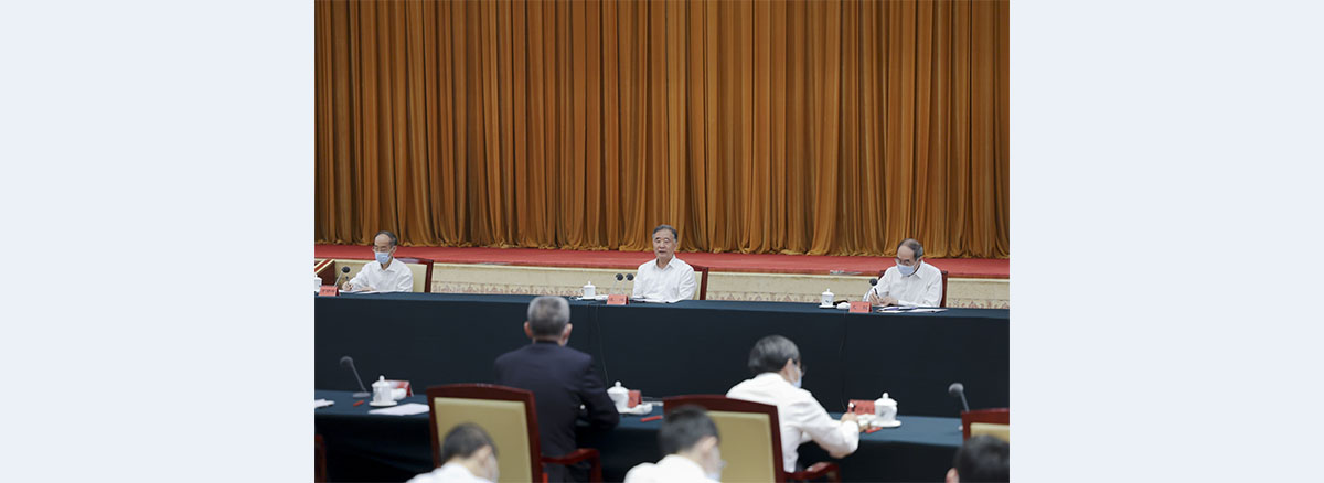 Wang Yang stresses consultation on promoting common prosperity