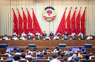 CPPCC members discuss high-quality development