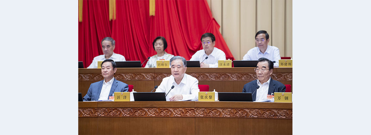 Wang Yang calls for fostering green, low-carbon development