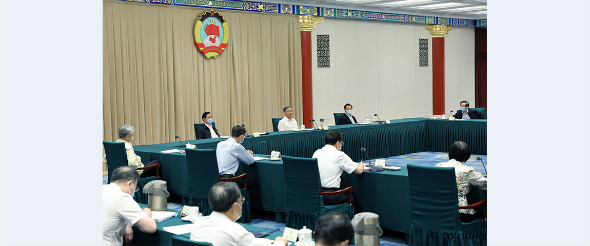 Wang Yang calls for greeting 20th CPC national congress with steady progress