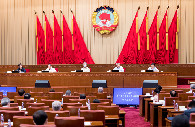 CPPCC briefing session focuses on 'double reduction' progress