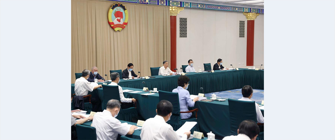 Senior CPPCC members discuss innovation