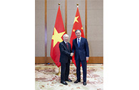 Wang Yang meets with Vietnam's communist party chief