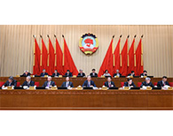 Wang Yang reiterates need to study key CPC congress