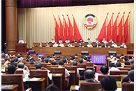 Senior CPPCC members share opinions on development, modernization