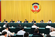 Wang Huning stresses efforts on sound economic development