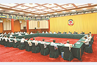 CPPCC holds consultation meeting on accelerating R&D of core agricultural seed resources