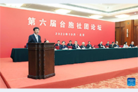 Wang Huning attends Taiwan compatriots forum
