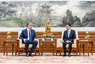 Wang Huning meets Serbian president