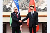 Wang Huning meets Uzbek president