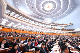 Xi visits CPPCC members, joins discussion at annual session