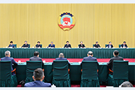 CPPCC members discuss fostering law-based business environment