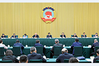 CPPCC members meet on population for modernization drive