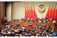 CPPCC members discuss developing high-level socialist market economy