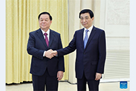 Wang Huning meets CPV delegation