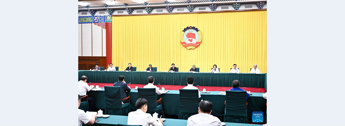 CPPCC members discuss layout for rural infrastructure, public services