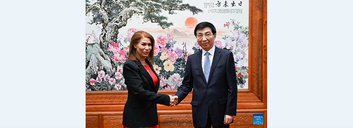 Wang Huning meets president of Central American Parliament