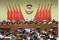 Wang Huning urges implementation of reform measures from CPC plenum