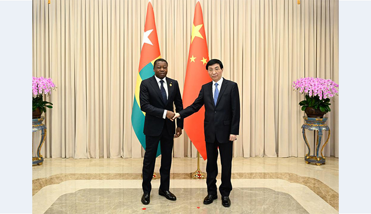 Wang Huning meets Togolese president