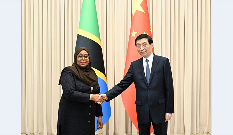 Wang Huning meets Tanzanian president