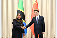 Wang Huning meets Tanzanian president