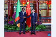 Wang Huning meets Zambian president