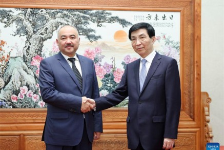 Wang Huning meets Kyrgyz parliament speaker