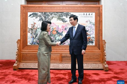 Wang Huning meets Cambodia's National Assembly president